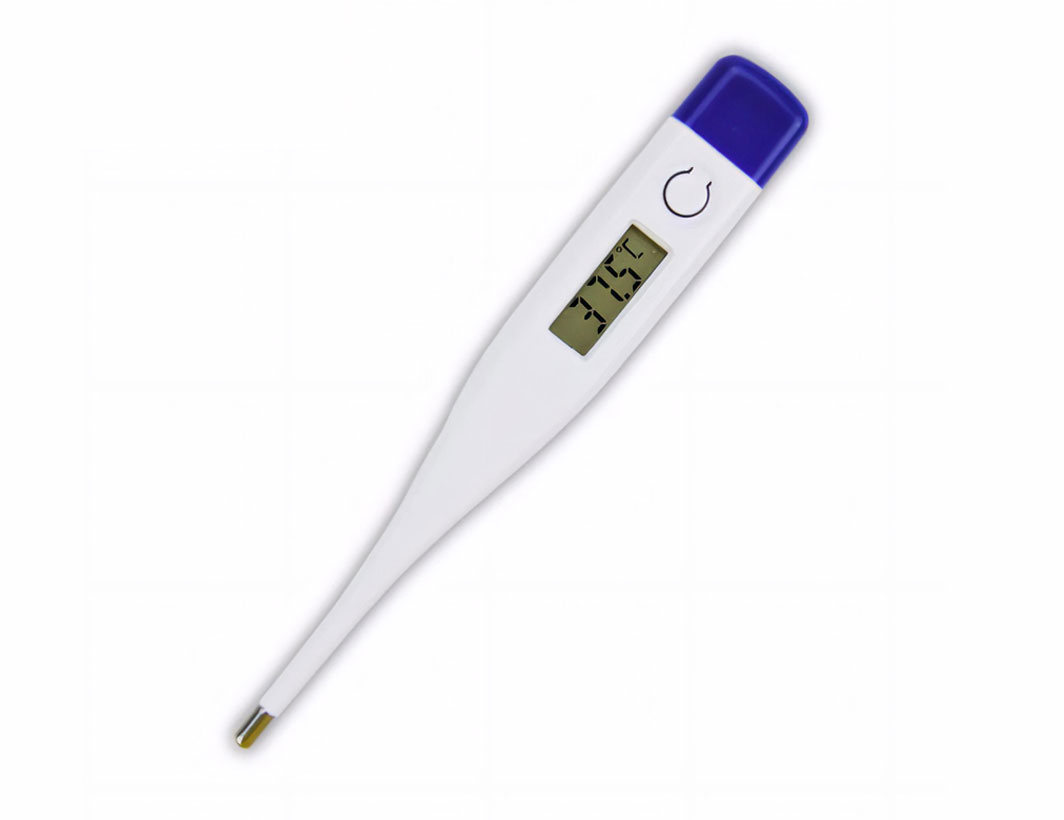 MS-DT01